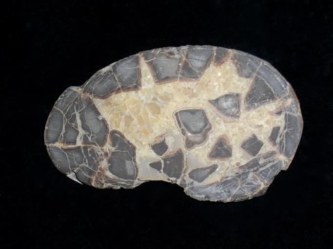 Septarian 2 How to Identify Septarian by Sight?